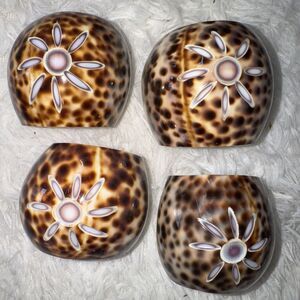 Tiger Cowrie Sea Shell Napkin Holders Rings Set Of 4 Four‎